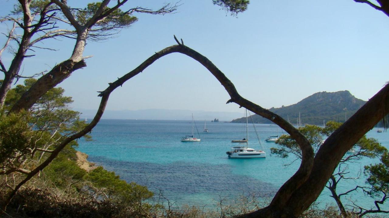 Grand Studio A Hyeres Entre Mer Et Ville Экстерьер фото